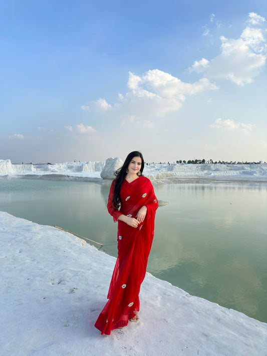 Paris Evening Red Silk Organza Saree - Ensembles