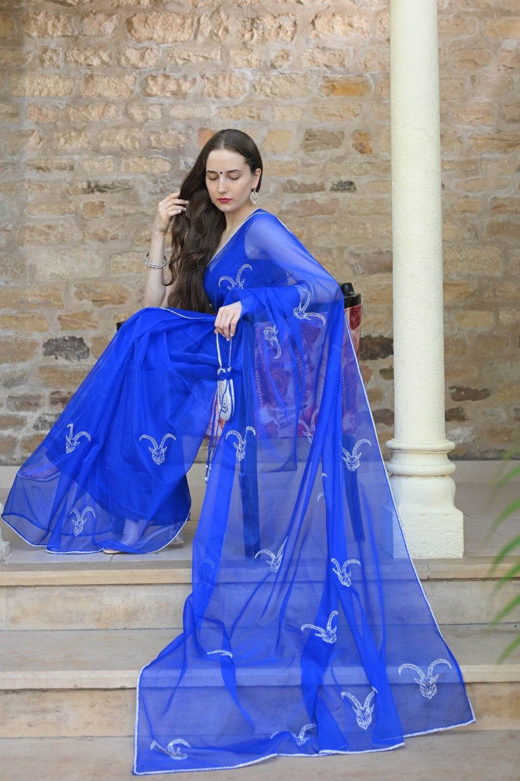 Capricorn Saree – Timeless Elegance - Ensembles