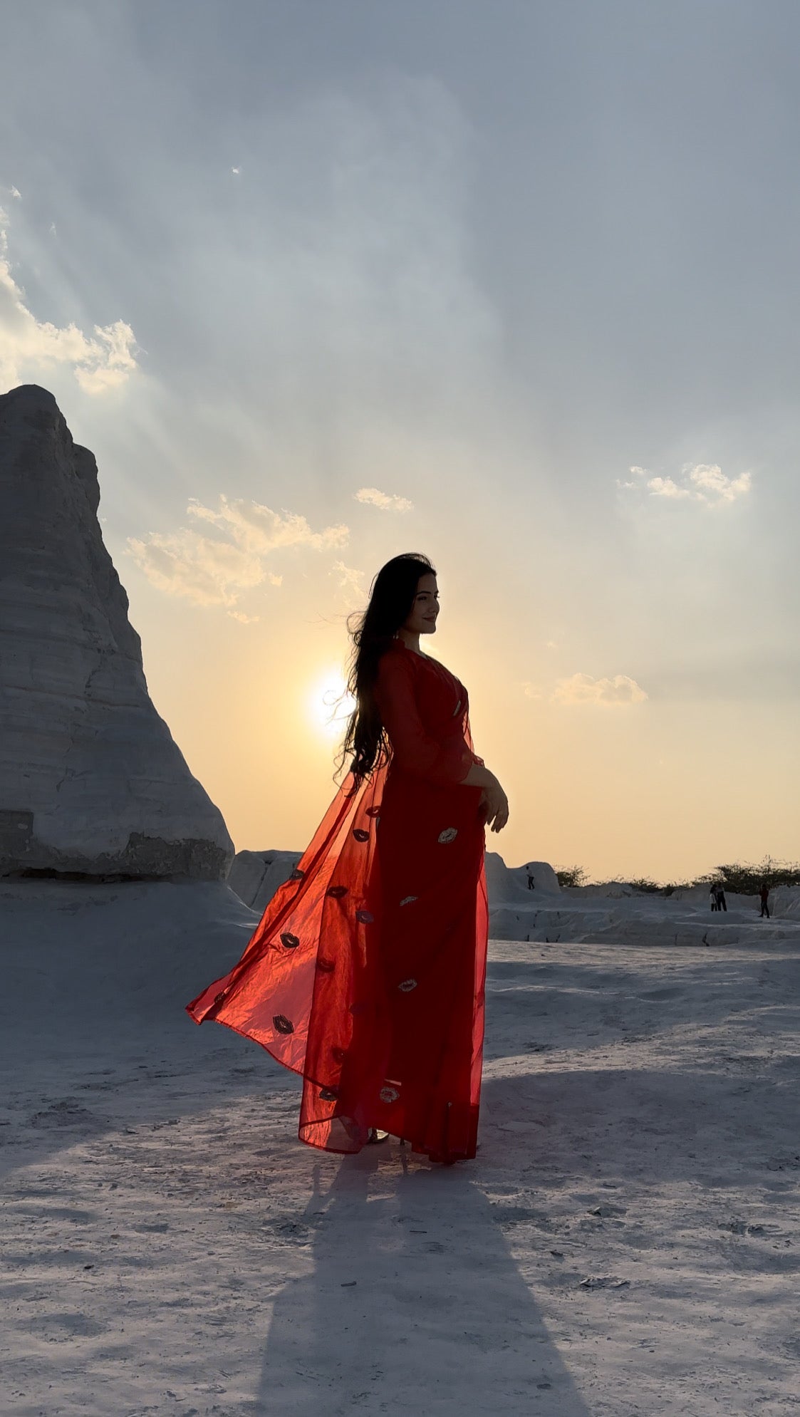 Paris Evening Red Silk Organza Saree