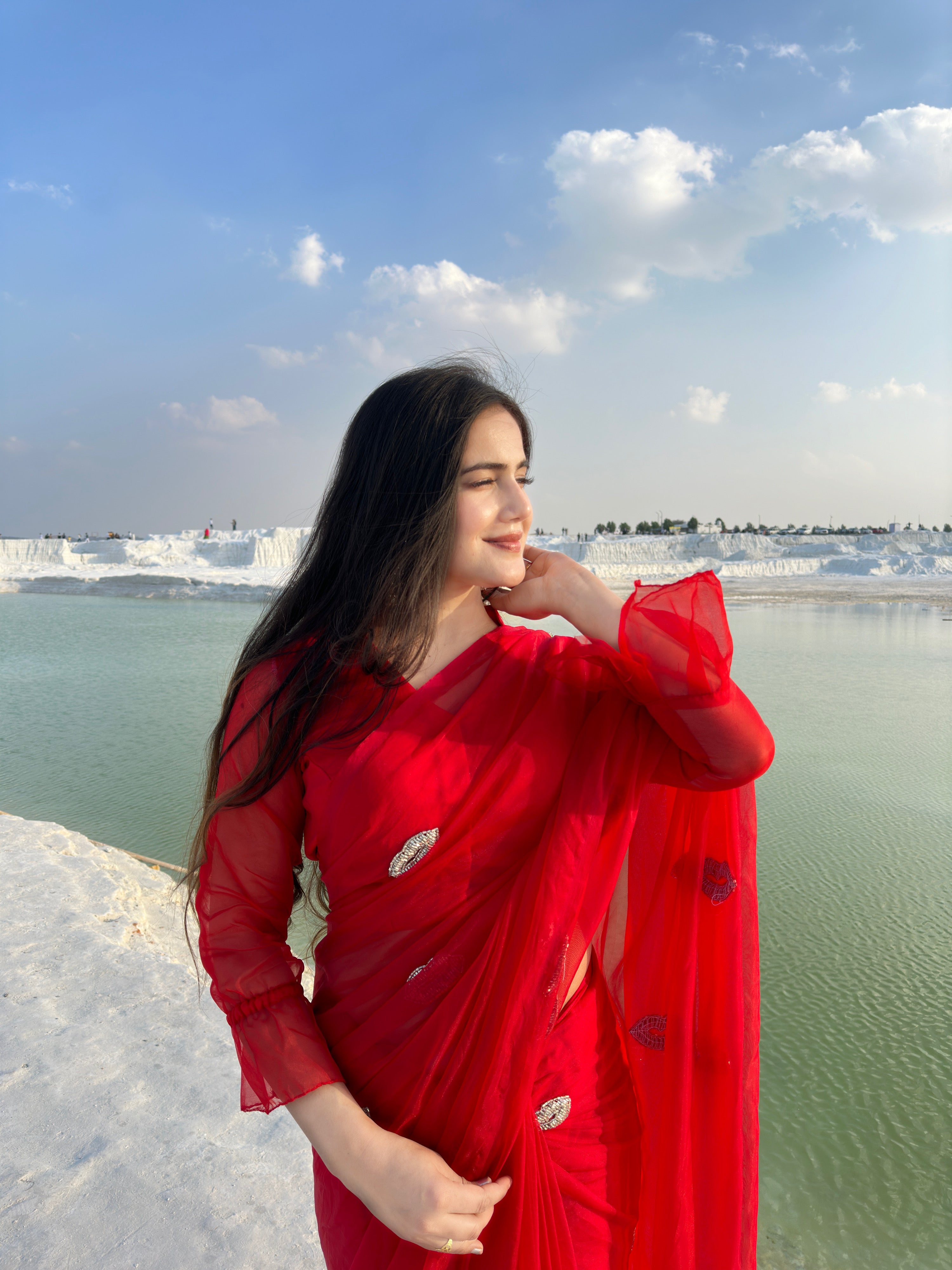 Paris Evening Red Silk Organza Saree