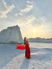 Paris Evening Red Silk Organza Saree