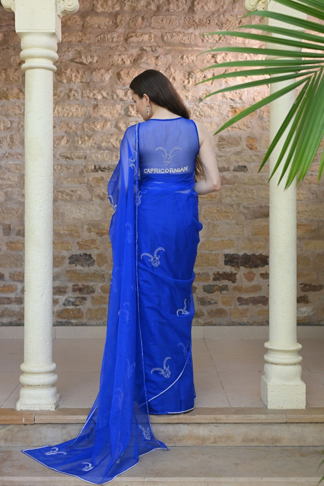 Capricorn Saree – Timeless Elegance - Ensembles
